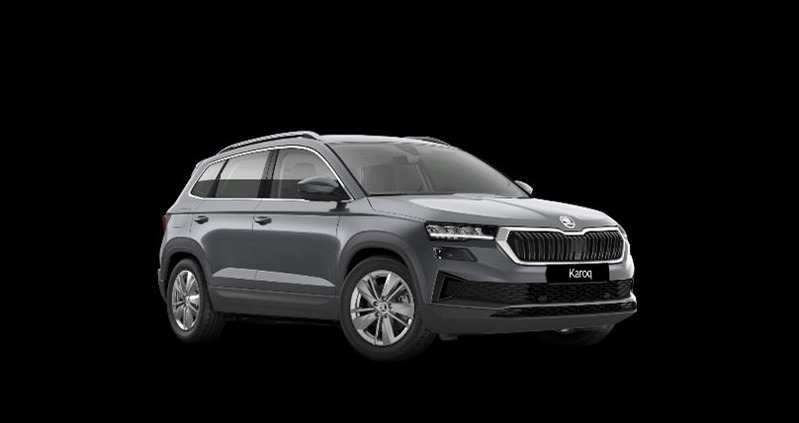 Skoda Karoq cena 171000 przebieg: 1, rok produkcji 2024 z Bytom małe 2